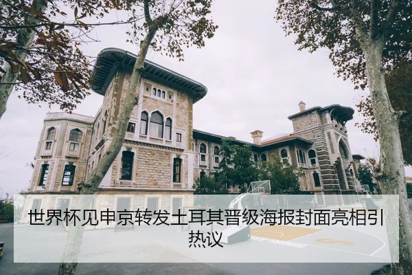 世界杯见申京转发土耳其晋级海报封面亮相引热议